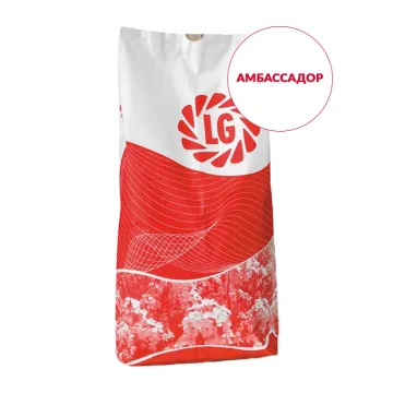 Амбассадор