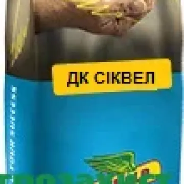 ДК Сиквел