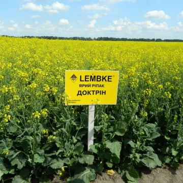 Доктрін