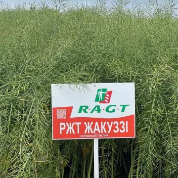 РЖТ Жакуззи