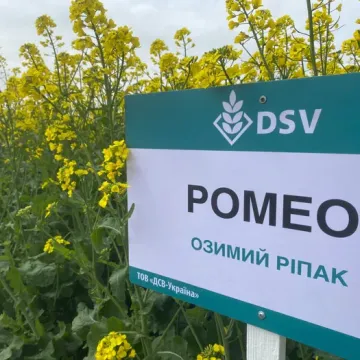 Ромео
