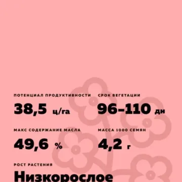 СИБНИИК 32