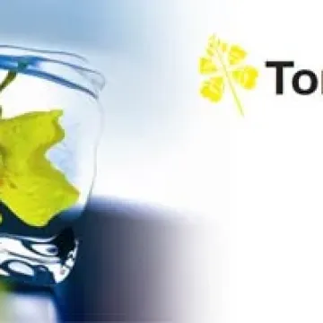Токата
