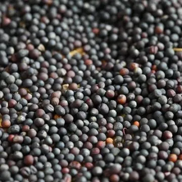 Триангель