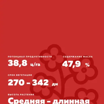Ксенон