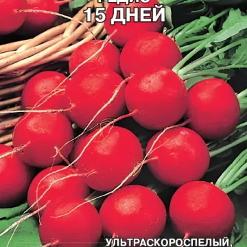 15 ДНЕЙ
