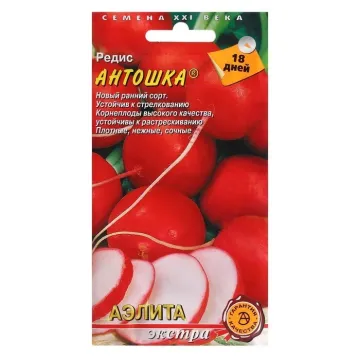 Антошка