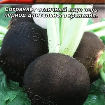 Чорноморівка