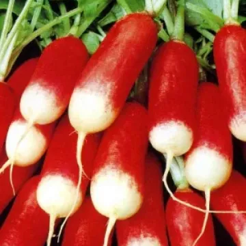 Французский Поцелуй