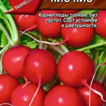 KIS-KIS