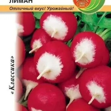 Лиман