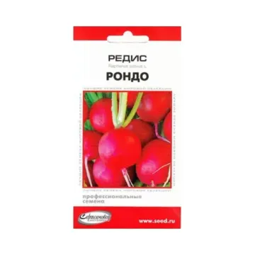 Рондо