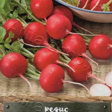 Тореро