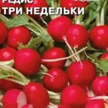 ТРИ Тижні