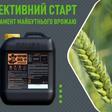Чорний Якив
