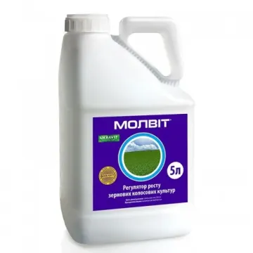 Molvit