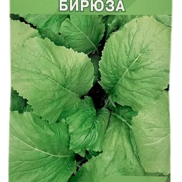 Бирюза