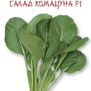 Салад Комацуна