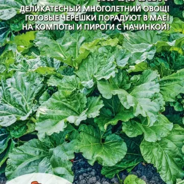 Малахит