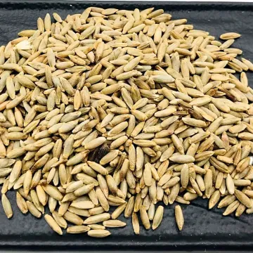 Ласкаве