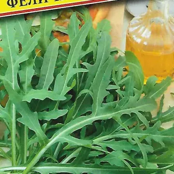 Феличита
