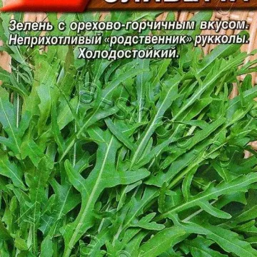 Оливетта