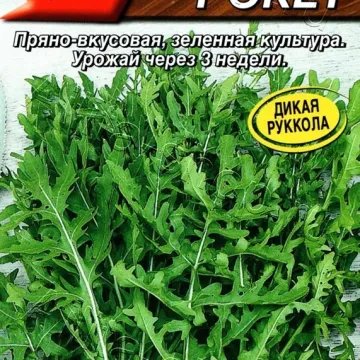 Рокет