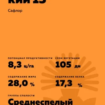 ВОЛГОГРАДСКИЙ 15