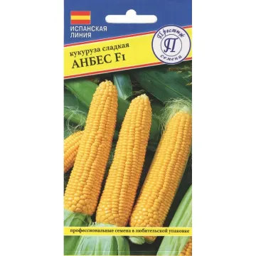 Анбес