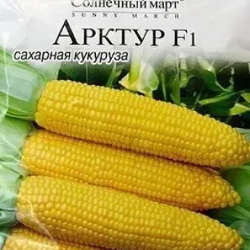 Арктур