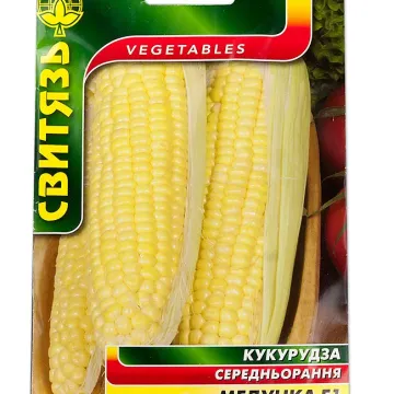 Медунка