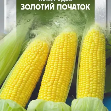 Золотой Початок
