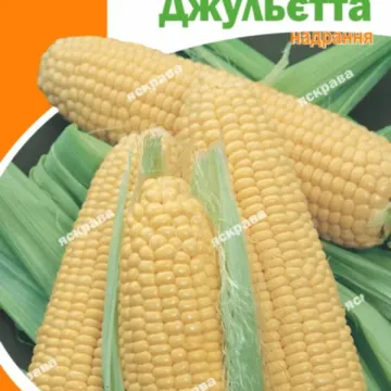 ЗУИ2835ОЛ