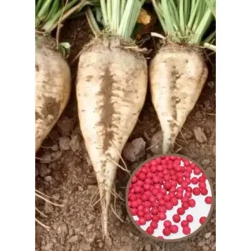 Дрена