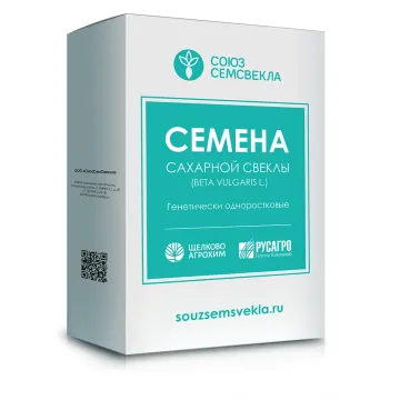 Гейзер