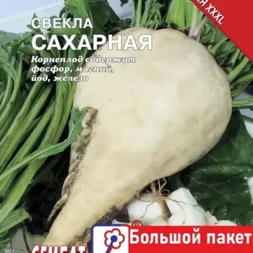 КУБАНСКИЙ МС 83