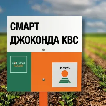 SMART GIOCONDA KWS