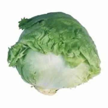 Авирам