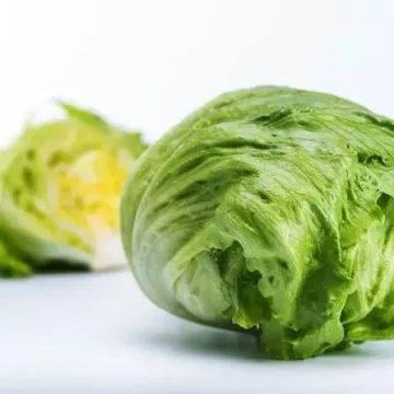 Чаконера