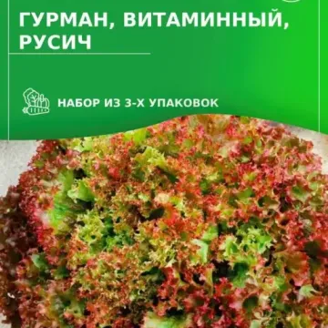 Гурман