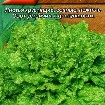 Озорник