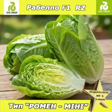 Рабелло