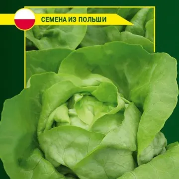 Сырена