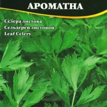 Ароматная / Ароматна