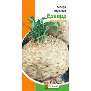 Эдвард