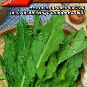 Чемпион