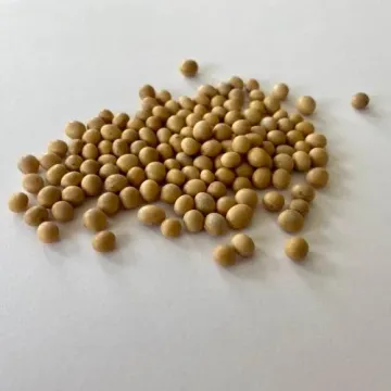 Езра