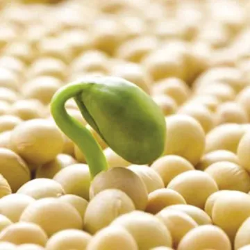 Перепилочка
