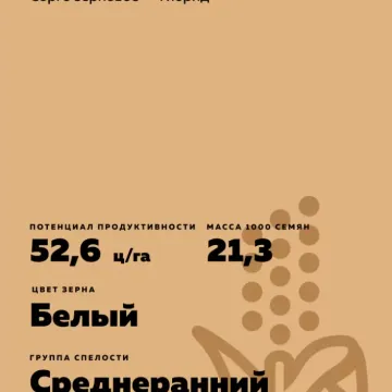 ЕС Муссон