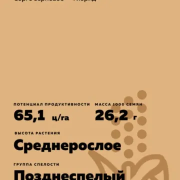 КВС Одеус